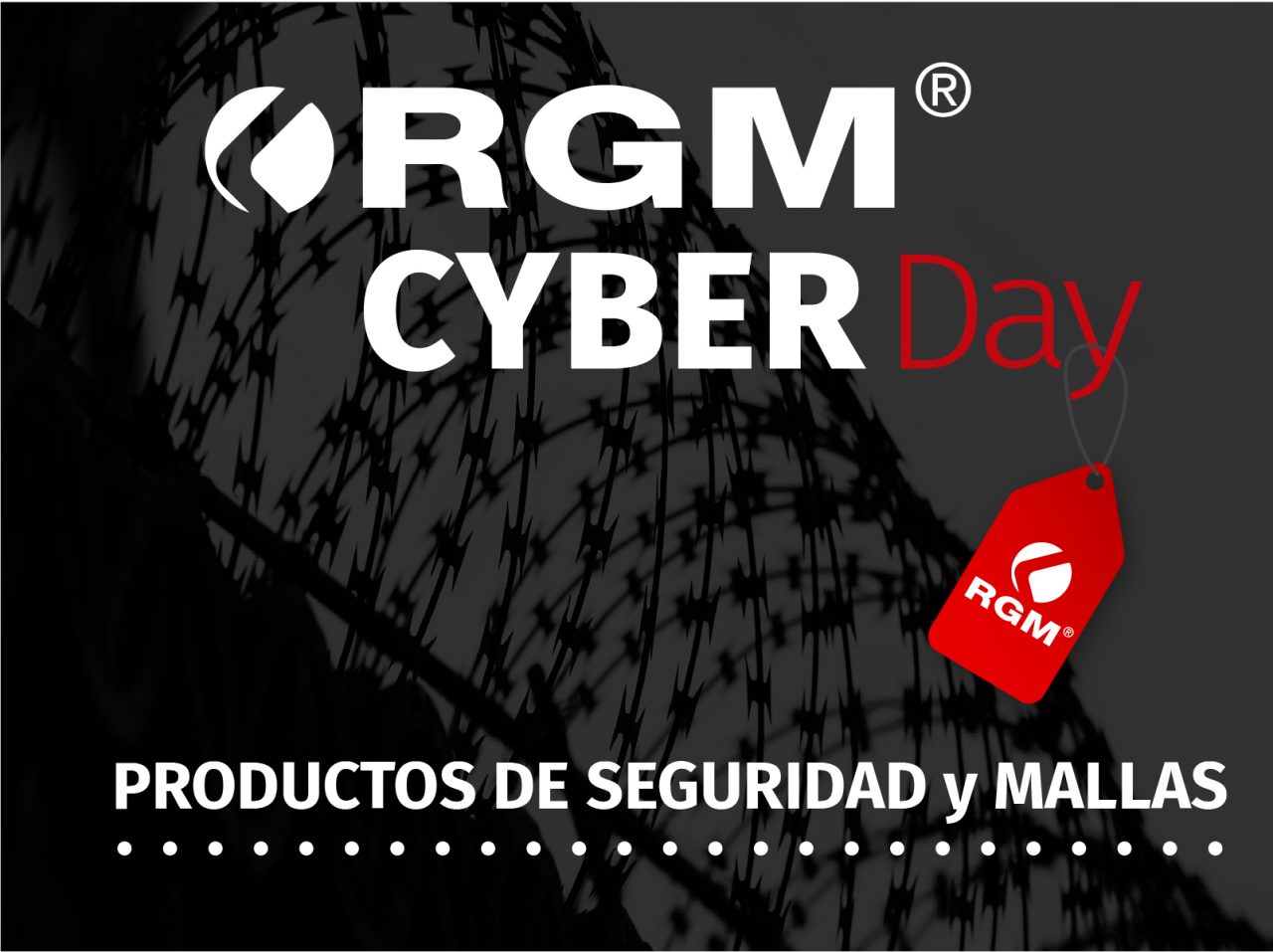 CYBER-WEB-Noticia-14-1280x957.jpg